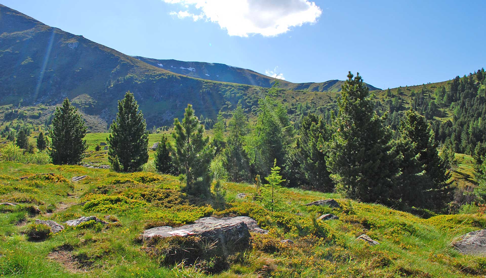 Vom Bergvolk Trachtenmode