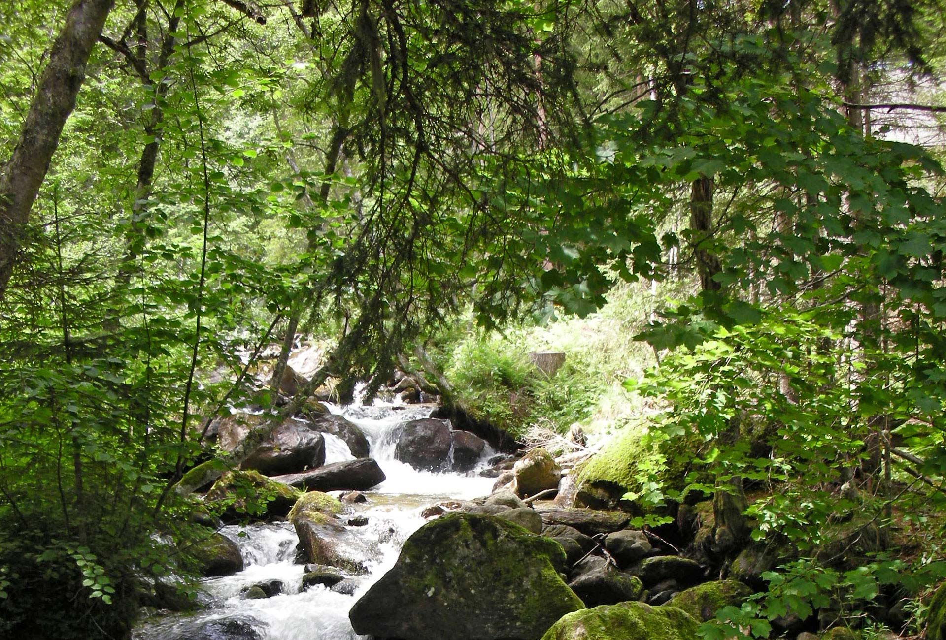 Vom Bergvolk Trachtenmode